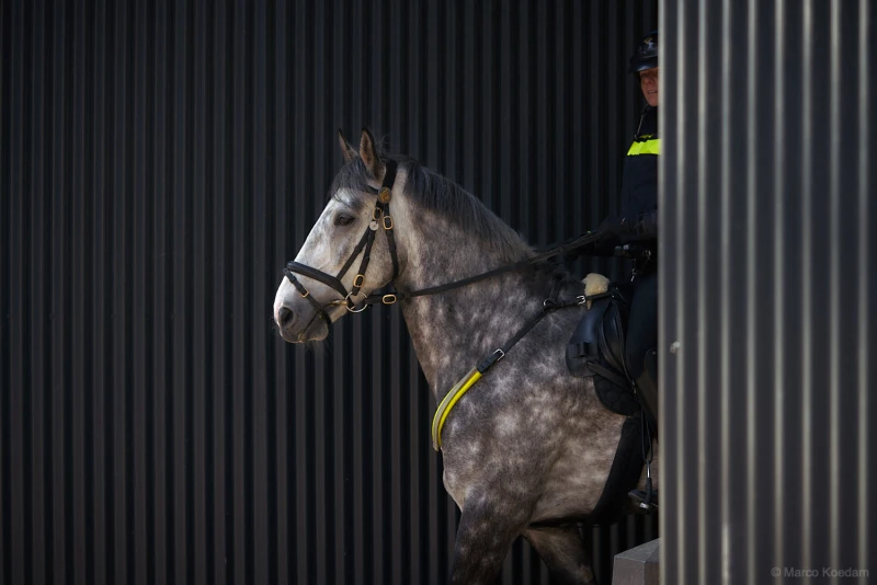 Deels afgedekte, politieagente te paard. Centrum, Utrecht